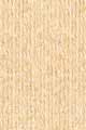 028 - Apricot-8 left
